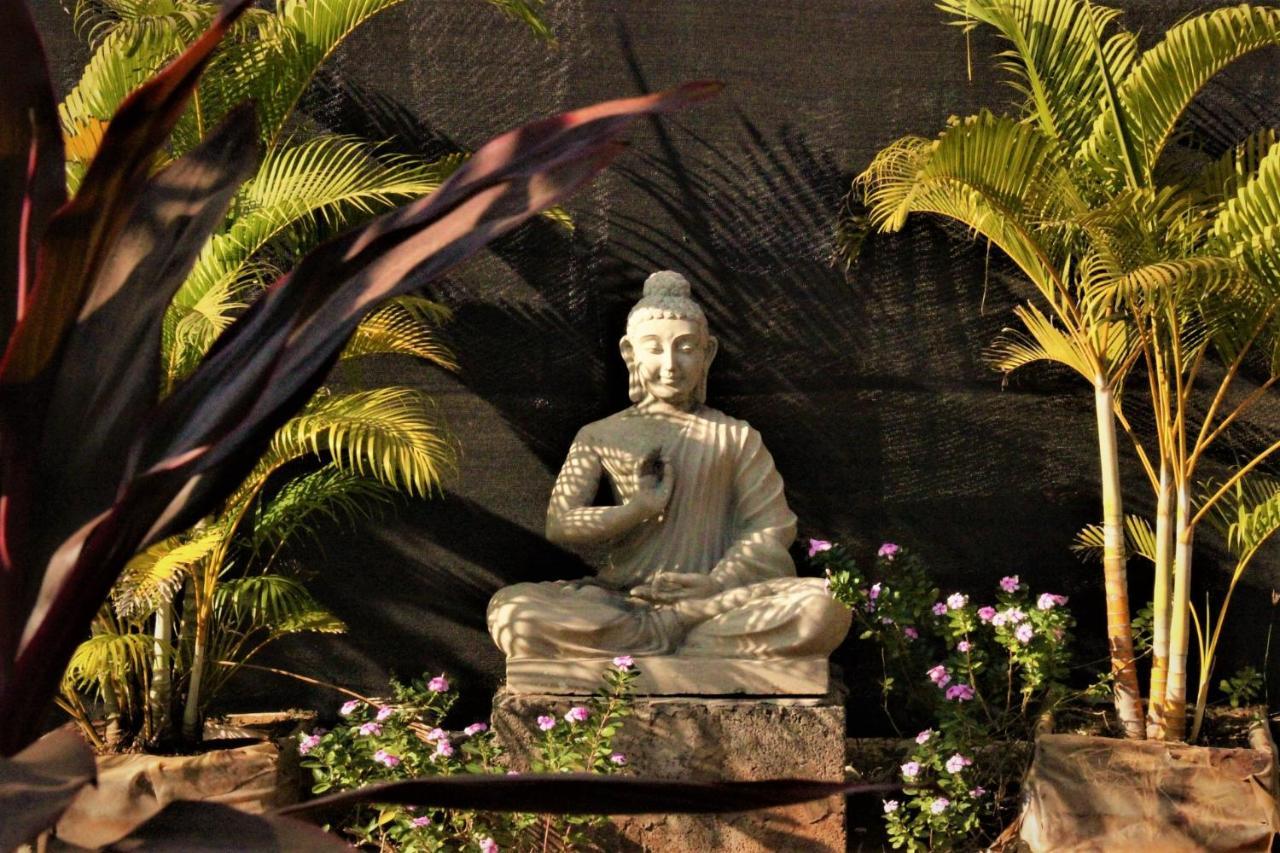 Lotus Sutra Hotell Arambol Exteriör bild
