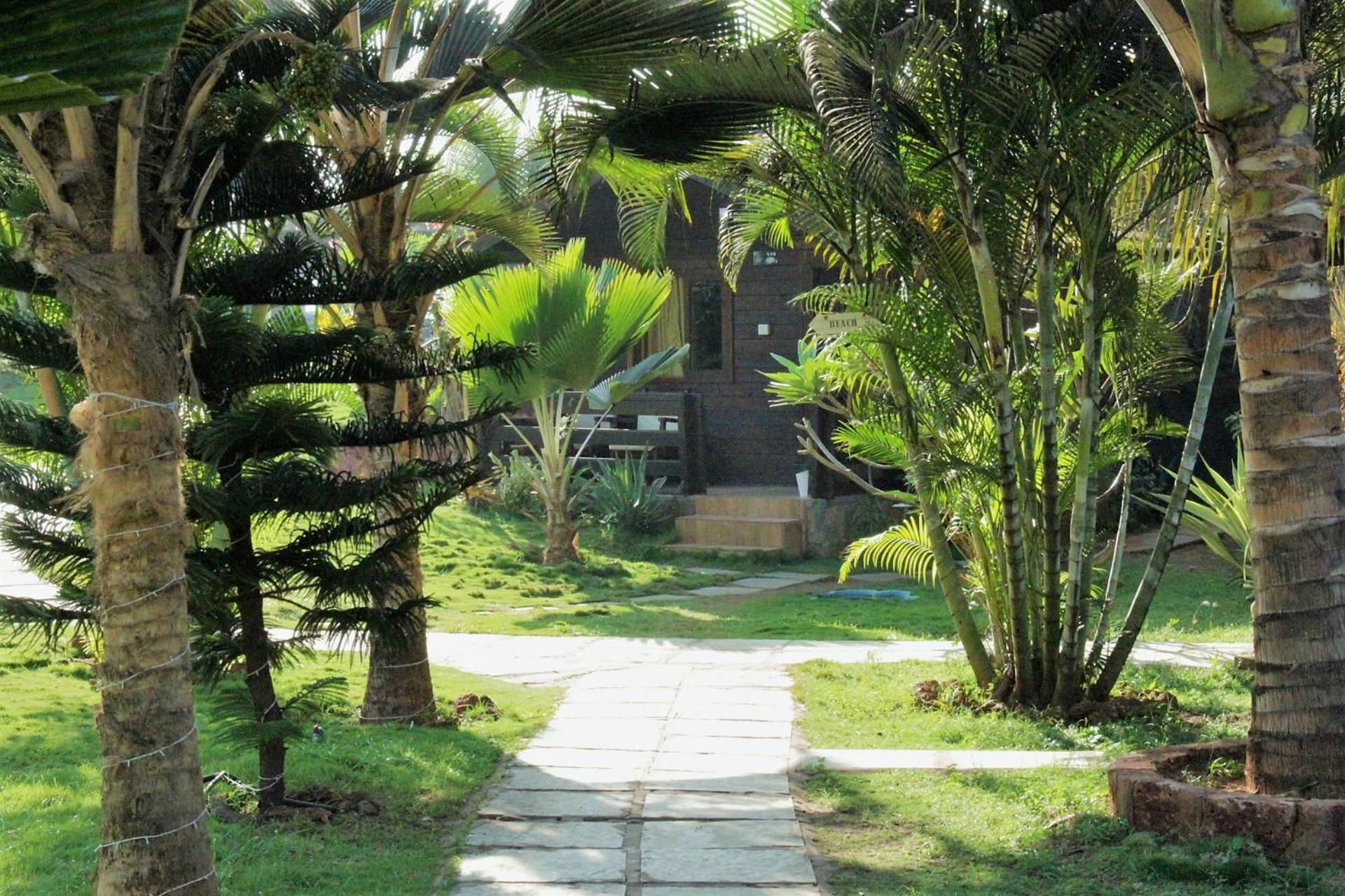 Lotus Sutra Hotell Arambol Rum bild
