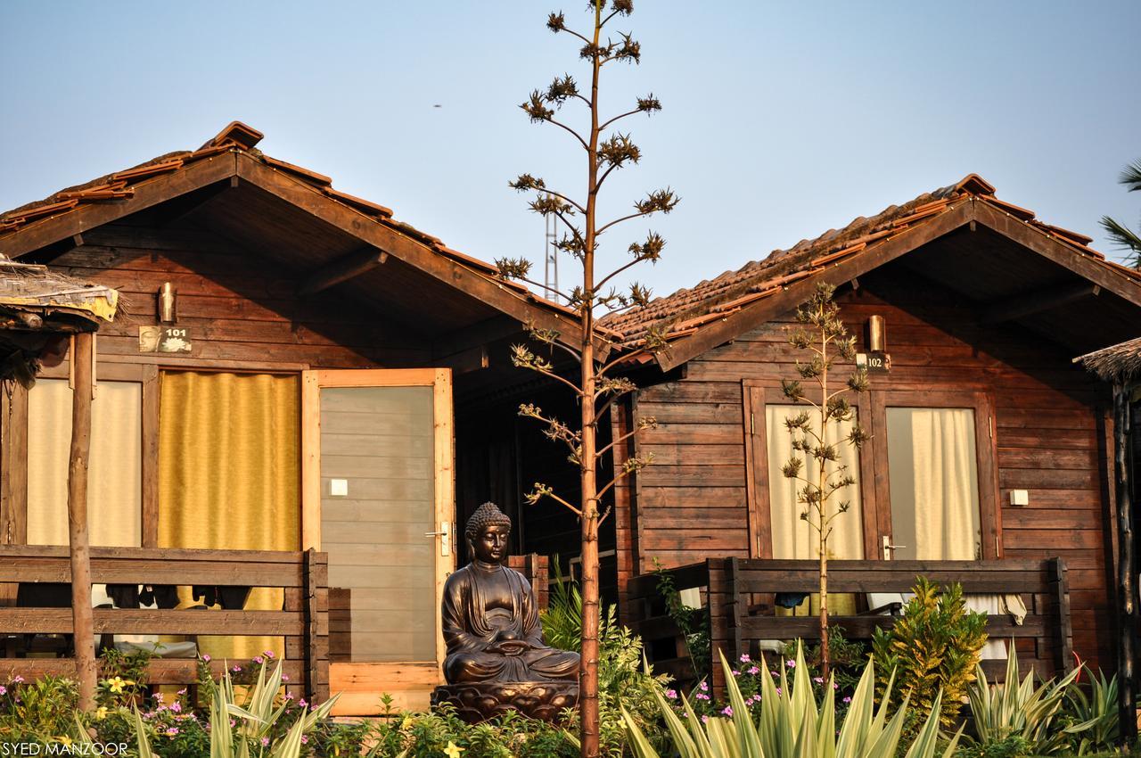 Lotus Sutra Hotell Arambol Exteriör bild